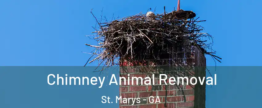  Chimney Animal Removal St. Marys - GA