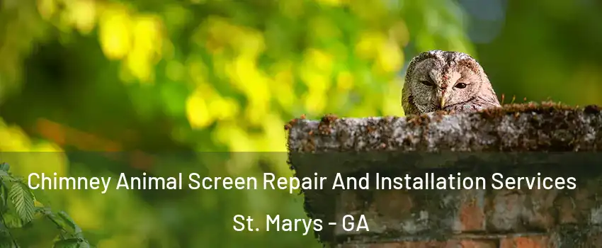  Chimney Animal Screen Repair And Installation Services St. Marys - GA