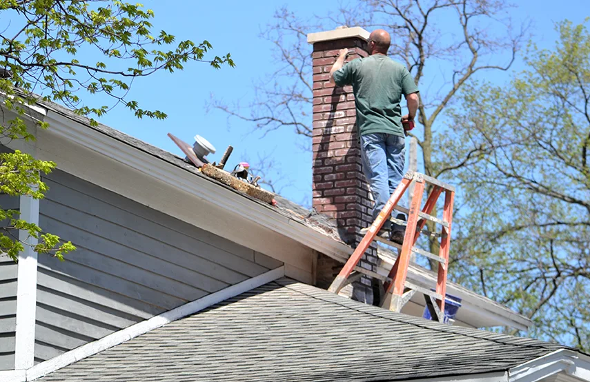 Chimney & Fireplace Inspections Services in St. Marys, GA