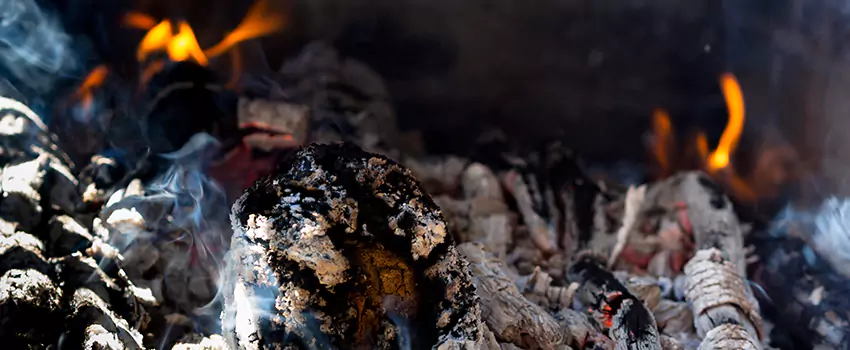 Creosote Removal Experts in St. Marys, GA